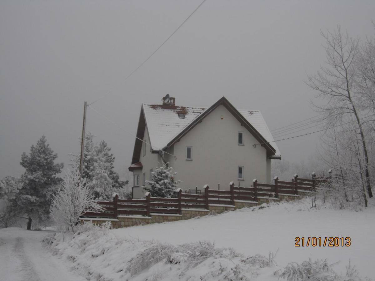 Dom Na Wzgorzu Villa Поляница-Здрой Екстериор снимка