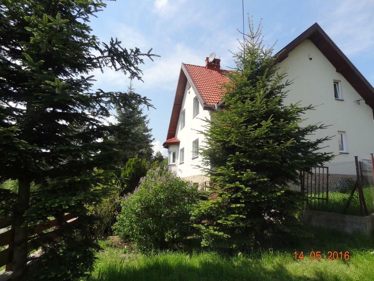 Dom Na Wzgorzu Villa Поляница-Здрой Екстериор снимка