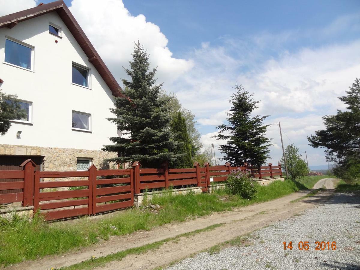 Dom Na Wzgorzu Villa Поляница-Здрой Екстериор снимка