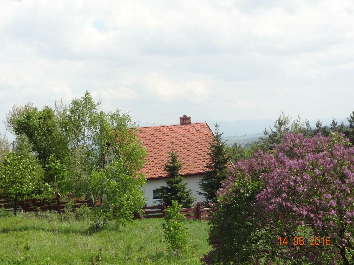 Dom Na Wzgorzu Villa Поляница-Здрой Екстериор снимка