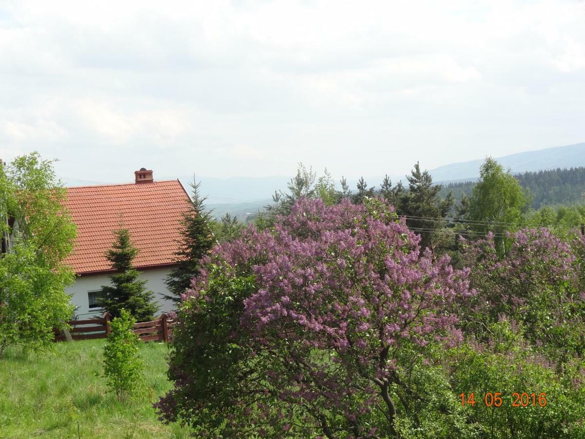 Dom Na Wzgorzu Villa Поляница-Здрой Екстериор снимка