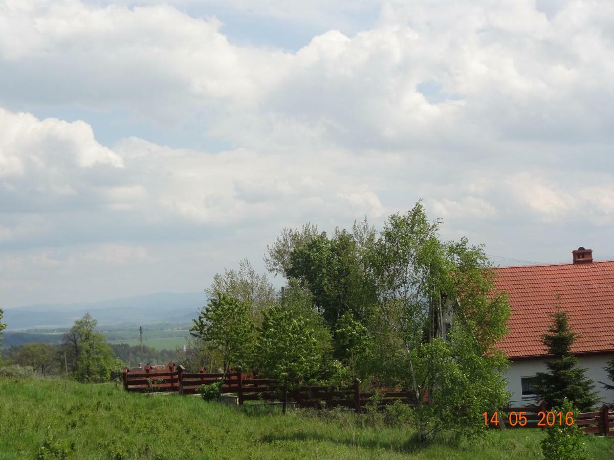 Dom Na Wzgorzu Villa Поляница-Здрой Екстериор снимка